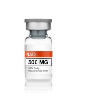 NAD+ VIAL (USA WAREHOUSE) Product Code: 500mg/vial x 1 vial Availability: 315